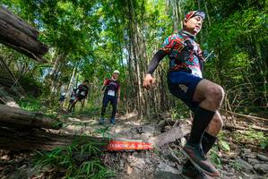 BIB: 
                            <button type="button" onclick="openModal(19389881)" class="btn btn-primary btn-sm float-right btn-popup" data-toggle="modal" data-target=".modal-high-quality">
                        <i class="fas fa-shopping-cart"></i> Add to Cart
                    </button>
                                            <button type="button" onclick="isThisMe(19389881, true)" class="btn btn-success btn-sm float-right btn-popup btn-isme hidden" data-toggle="tooltip" data-placement="bottom" title="นี่คือรูปของคุณใช่ไหม คลิกที่นี่เพื่อเอาเข้าอัลบั้ม">
                        <i class="fas fa-plus"></i> Add to album
                    </button>
                    <button type="button" onclick="isThisMe(19389881, false)" class="btn btn-warning btn-sm float-right btn-popup btn-isnotme hidden">
                        <i class="fas fa-ban"></i> Remove from album
                    </button>